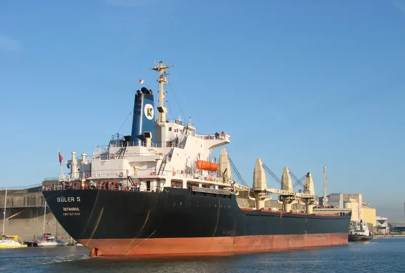 RUN FENG Bulk Carrier IMO 7627429 photo 3