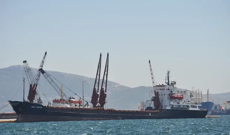 RED TOWER General Cargo IMO 7627625 photo 2