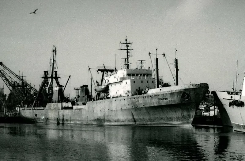 TRITON General Cargo IMO 7627742