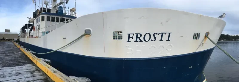 FROSTI General Cargo IMO 7628473 photo 2