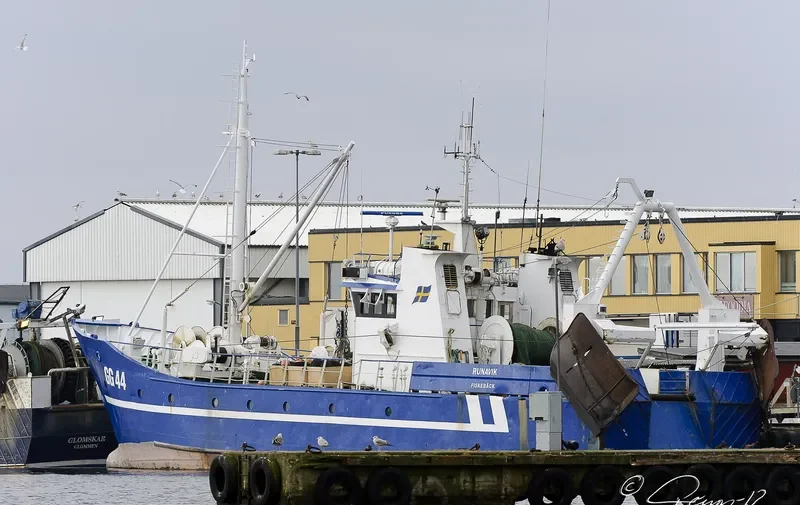 RUNAVIK GG 44 General Cargo IMO 7628643 photo 8