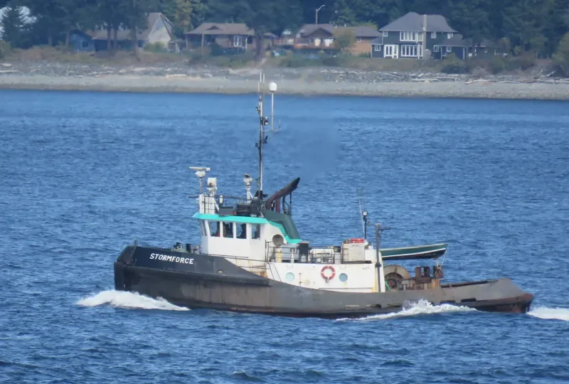 STORMFORCE Tug Boat IMO 7629233 photo 2