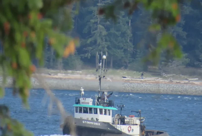 STORMFORCE Tug Boat IMO 7629233 photo 3