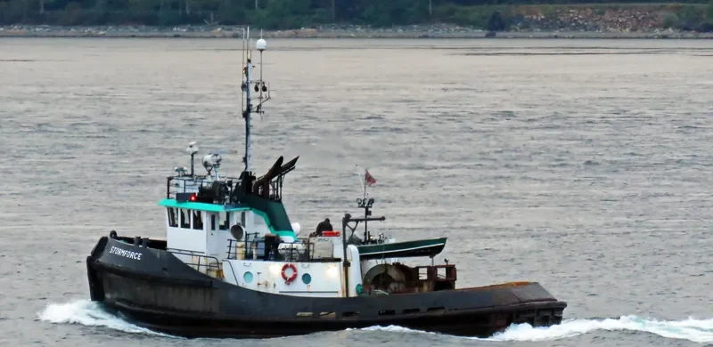 STORMFORCE Tug Boat IMO 7629233 photo 4