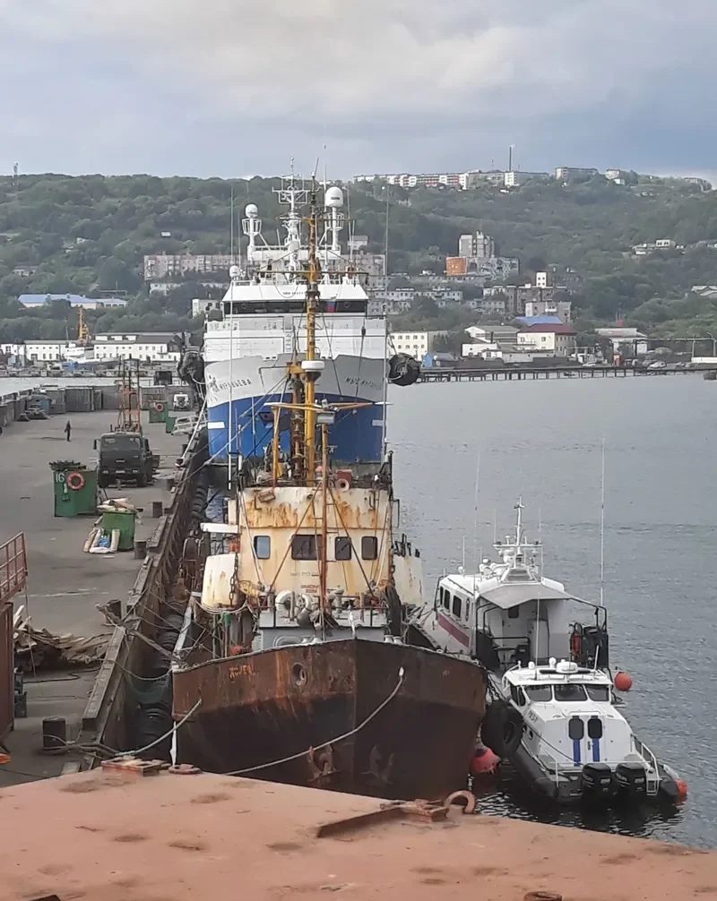 DONETS General Cargo IMO 7630098