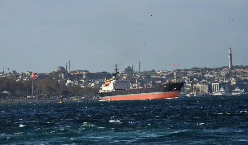 BELIZE CITY Bulk Carrier IMO 7630141 photo 6