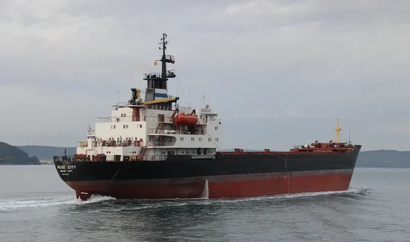 BELIZE CITY Bulk Carrier IMO 7630141 photo 7