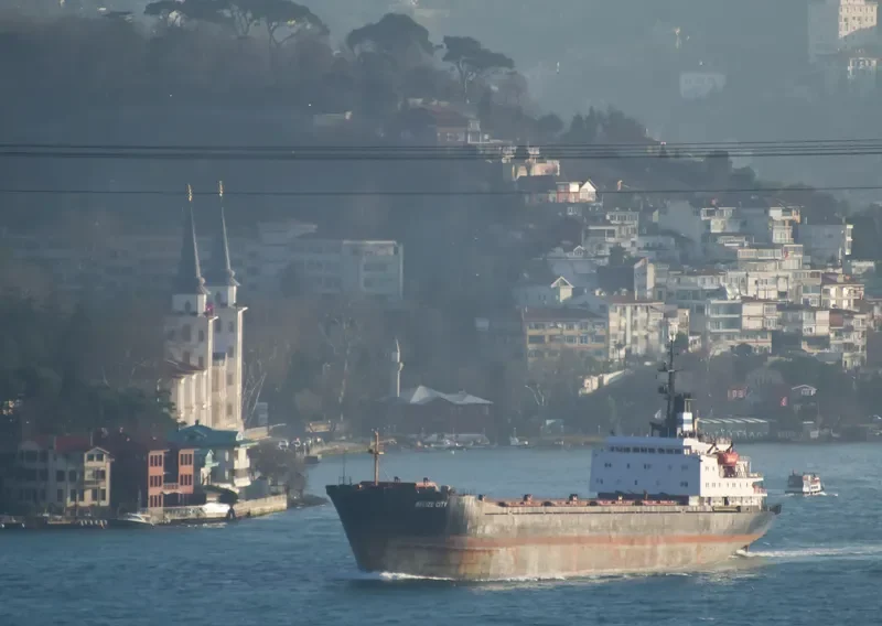 BELIZE CITY Bulk Carrier IMO 7630141 photo 10