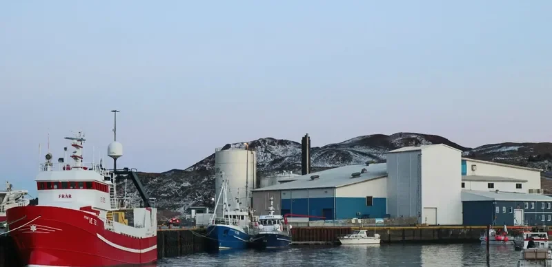 FRAR VE 78 General Cargo IMO 7631054 photo 8
