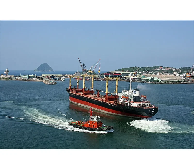 CLIO Bulk Carrier IMO 7632412 photo 10