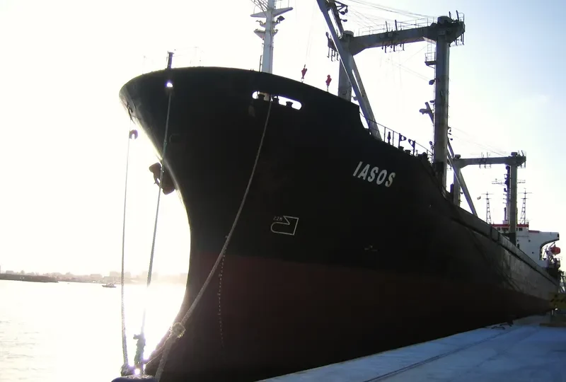 IASOS Bulk Carrier IMO 7633088 photo 3
