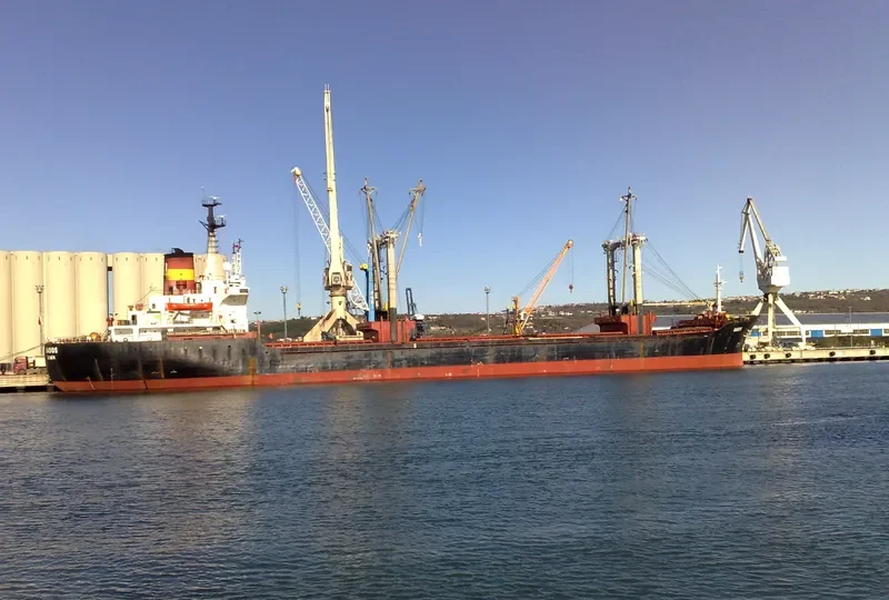 IASOS Bulk Carrier IMO 7633088 photo 4