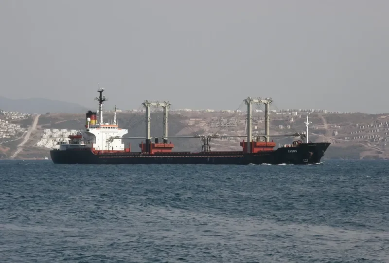 IASOS Bulk Carrier IMO 7633088 photo 5