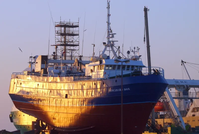 PESCAMARO DOS General Cargo IMO 7634082 photo 2