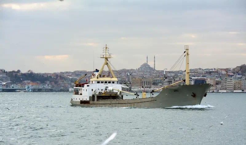 AREL General Cargo IMO 7634197 photo 2
