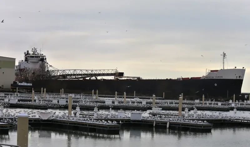 AMERICAN COURAGE Bulk Carrier IMO 7634226 photo 2