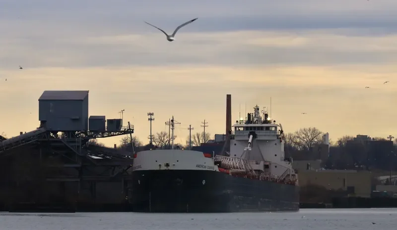 AMERICAN COURAGE Bulk Carrier IMO 7634226 photo 3