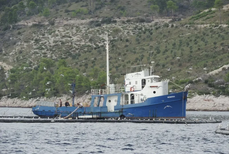 NEMIRNA General Cargo IMO 7634616