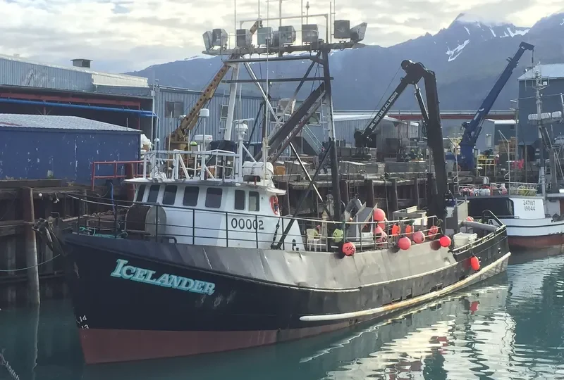 ICELANDER General Cargo IMO 7634941