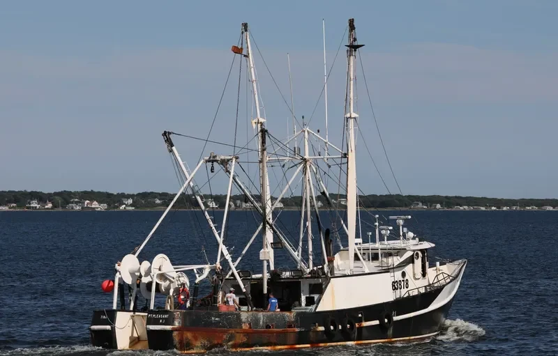 TINA Fishing Vessel IMO 7634953 photo 2