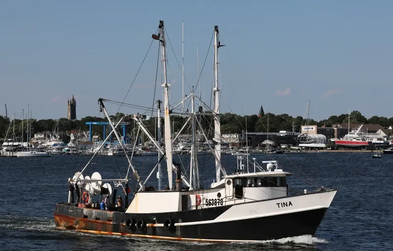 TINA Fishing Vessel IMO 7634953 photo 3
