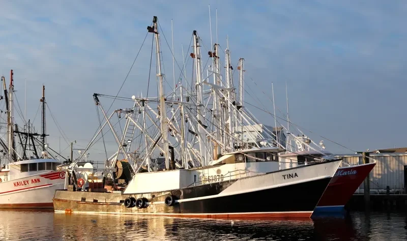 TINA Fishing Vessel IMO 7634953 photo 4