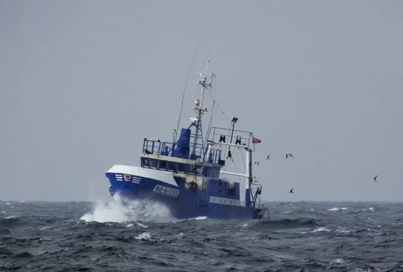 WLA 295 General Cargo IMO 7635749