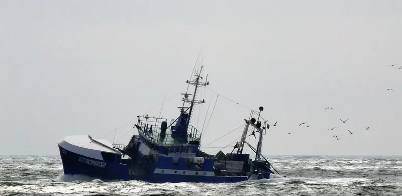 WLA 295 General Cargo IMO 7635749 photo 2