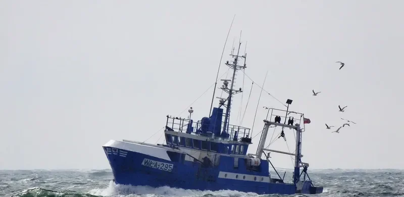 WLA 295 General Cargo IMO 7635749 photo 3