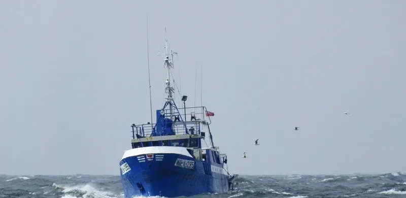 WLA 295 General Cargo IMO 7635749 photo 4