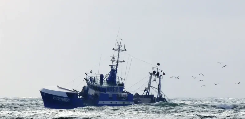 WLA 295 General Cargo IMO 7635749 photo 8