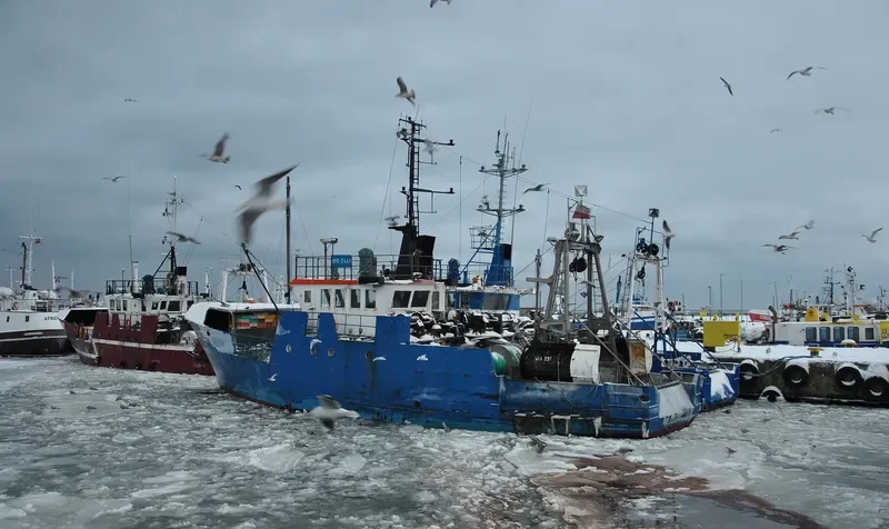 WLA 291 General Cargo IMO 7635787 photo 8