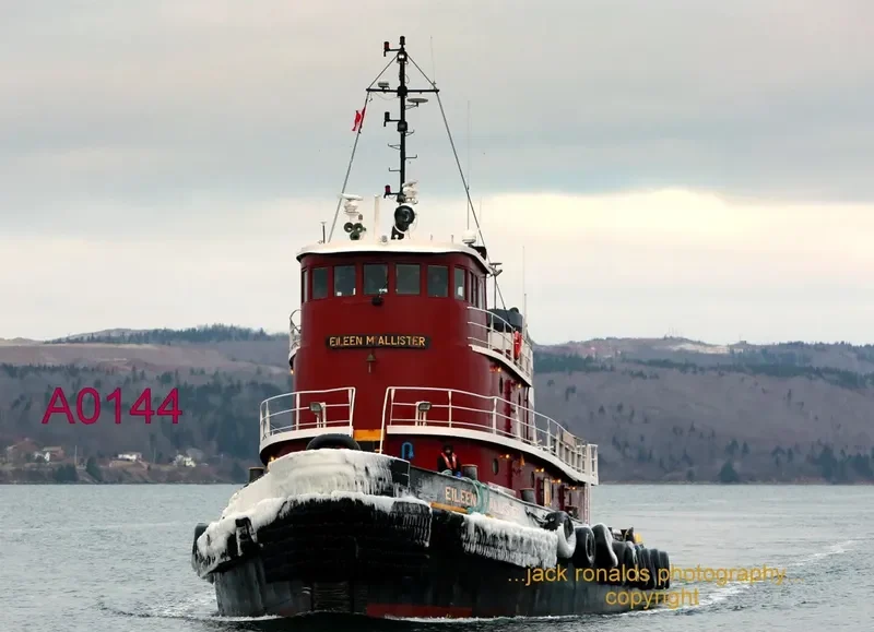 EILEEN MCALLISTER General Cargo IMO 7635957 photo 7