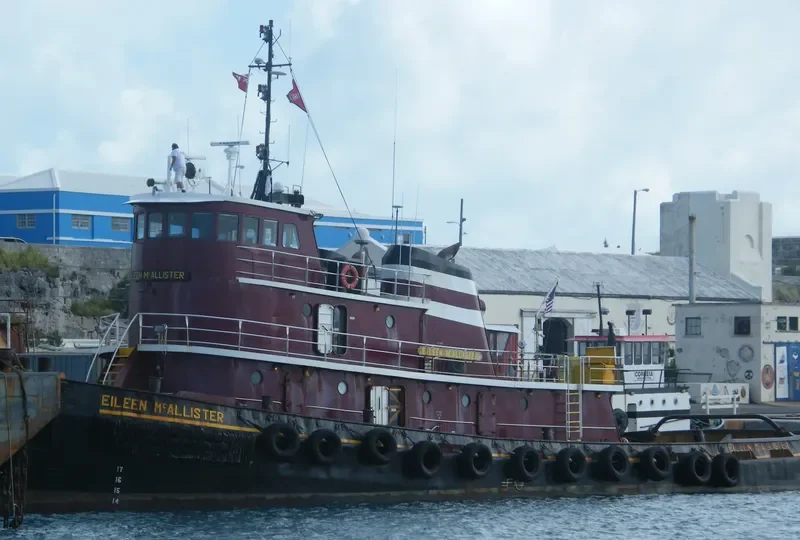 EILEEN MCALLISTER General Cargo IMO 7635957 photo 8