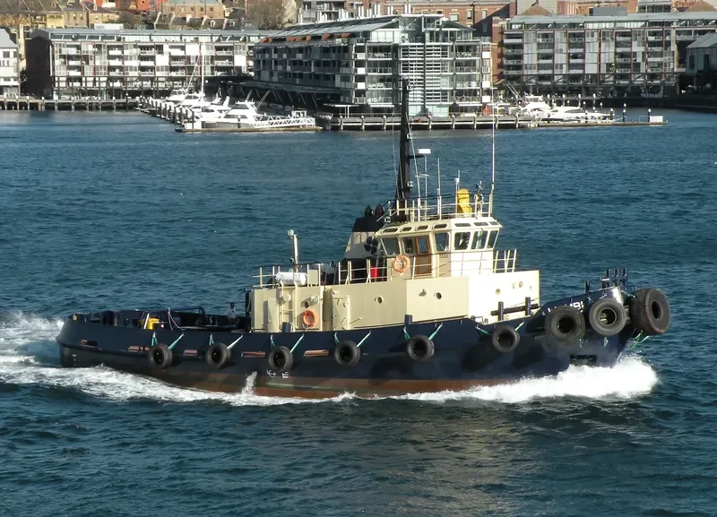 WOMBI General Cargo IMO 7636016 photo 3