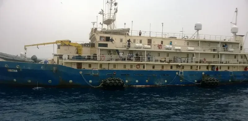 GOLDEN PALM General Cargo IMO 7636339 photo 3