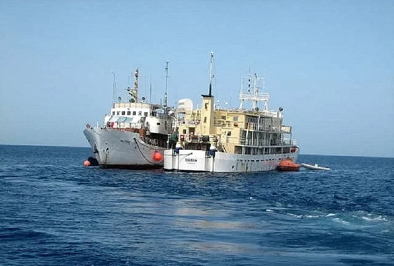 GOLDEN PALM General Cargo IMO 7636339 photo 4