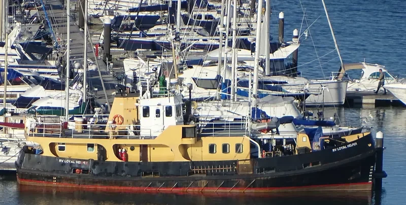 LOYAL HELPER Offshore Supply Vessel IMO 7636389 photo 2