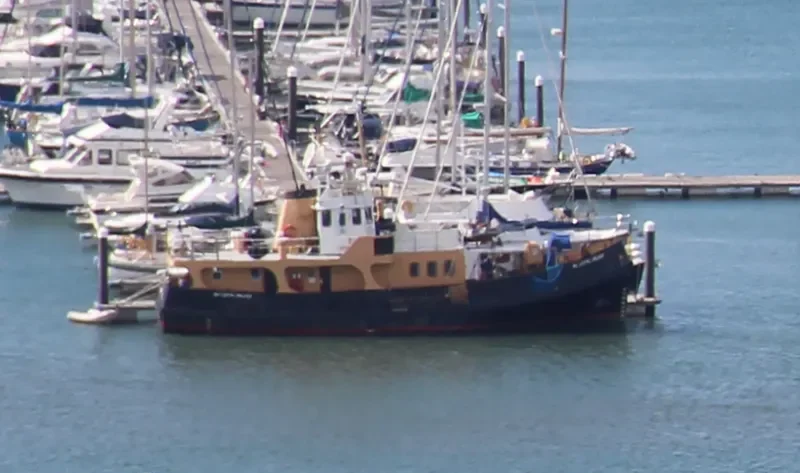 LOYAL HELPER Offshore Supply Vessel IMO 7636389 photo 8