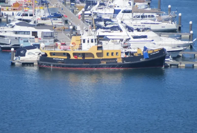 LOYAL HELPER Offshore Supply Vessel IMO 7636389 photo 10