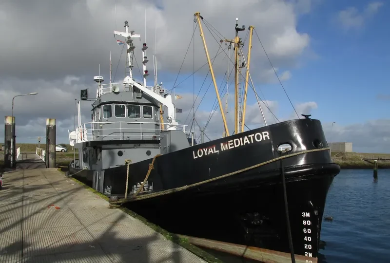 LOYAL MEDIATOR Offshore Supply Vessel IMO 7636420 photo 2