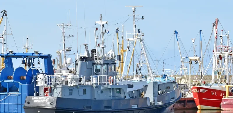 LOYAL MEDIATOR Offshore Supply Vessel IMO 7636420 photo 3