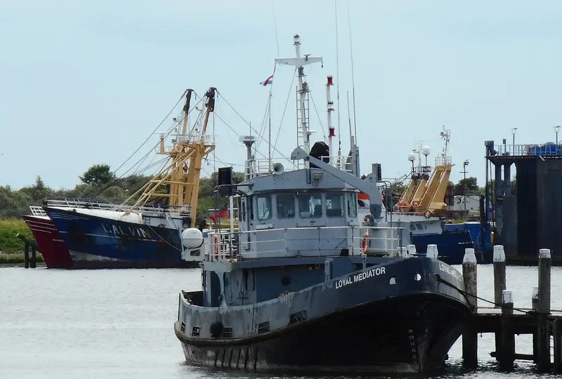 LOYAL MEDIATOR Offshore Supply Vessel IMO 7636420 photo 4