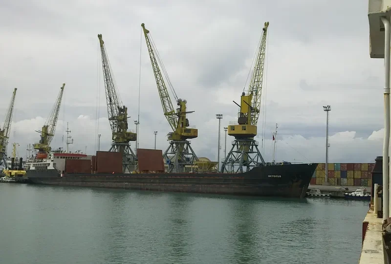 OCTOPUS S General Cargo IMO 7636743 photo 3