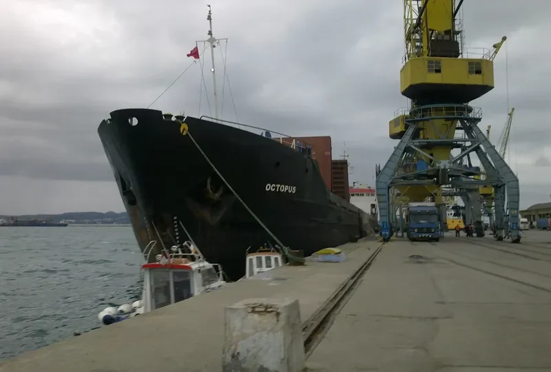 OCTOPUS S General Cargo IMO 7636743 photo 5