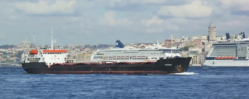 OCTOPUS S General Cargo IMO 7636743 photo 6