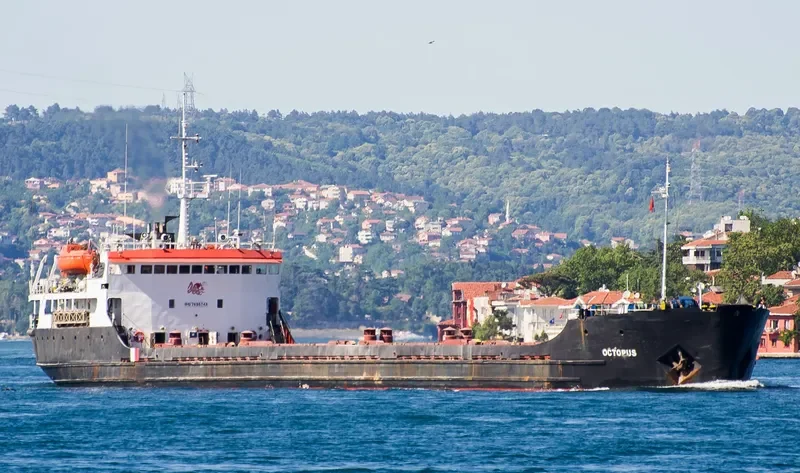 OCTOPUS S General Cargo IMO 7636743 photo 7