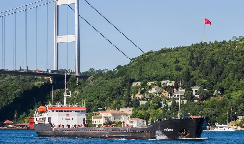 OCTOPUS S General Cargo IMO 7636743 photo 8