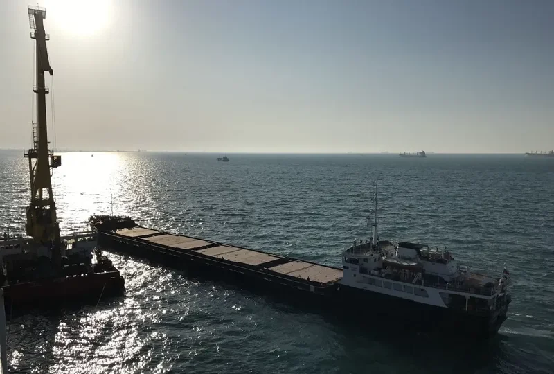 SOVETSKAYA RODINA General Cargo IMO 7636860