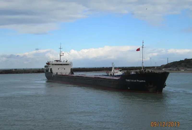 SOVETSKAYA RODINA General Cargo IMO 7636860 photo 10